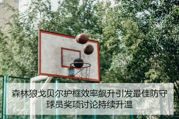 森林狼戈贝尔护框效率飙升引发最佳防守球员奖项讨论持续升温